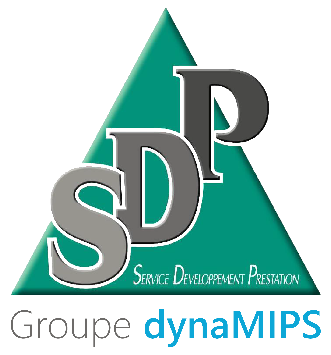 SDP - Groupe Dynamips