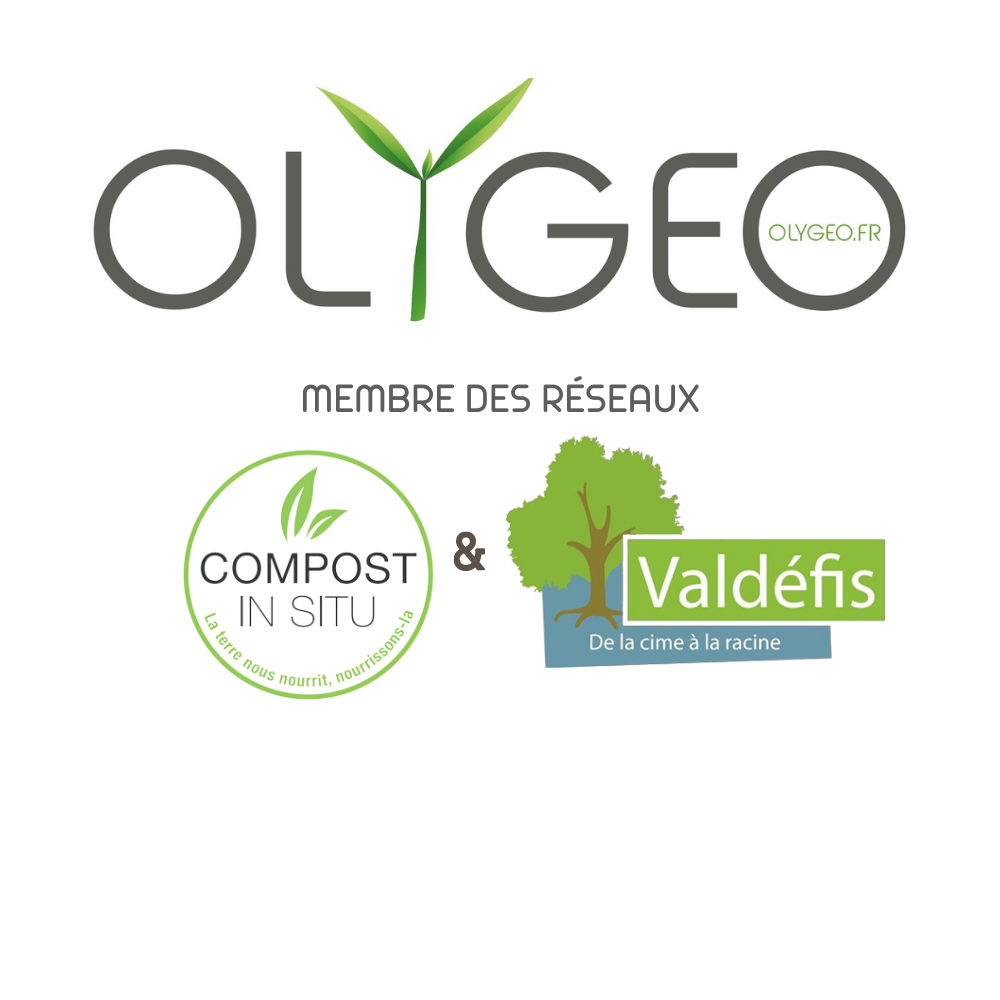 LOGO OLYGEO