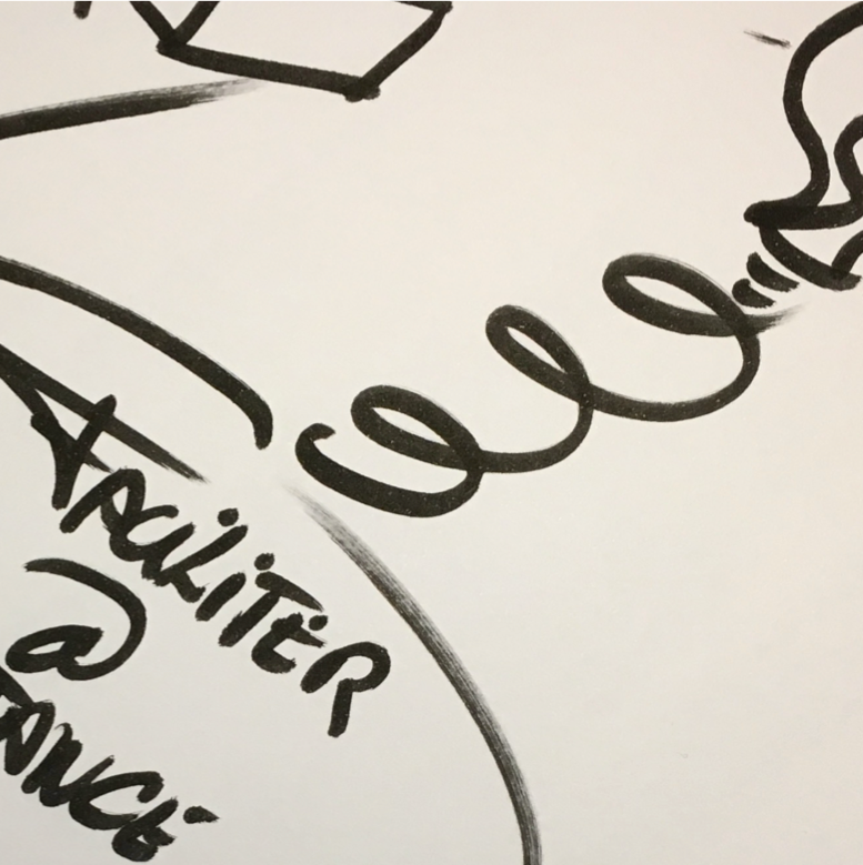 Facilitateur Professionnel