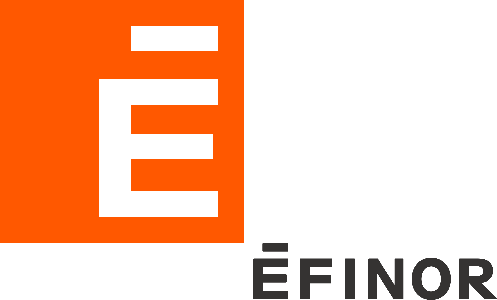  LOGO officiel EFINOR 