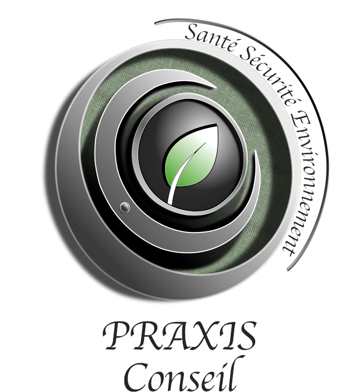 Logo Praxis-Conseil