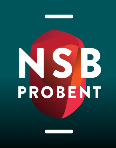 complet-casque_degrade-nsb_blanc-fond_vert_degrade_1.png